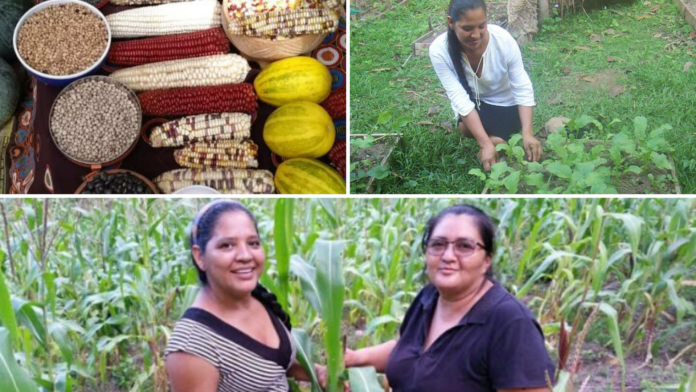 Las mujeres campesinas hondureñas nos enseñan “cómo se pegan botones”