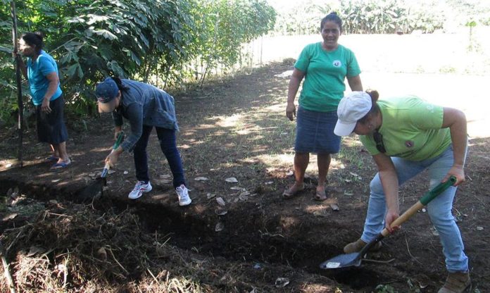 Mujeres invisibles: generadoras de ingresos por cuenta propia y sin apoyo del Estado