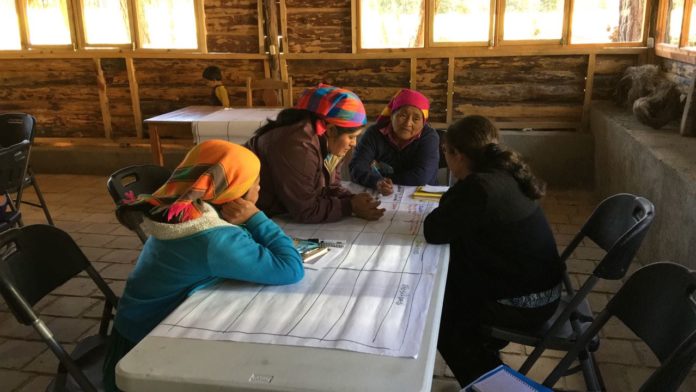 Las Hormigas avanzan en lucha por posicionar agenda de mujeres en planes de gobiernos locales