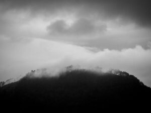 3 Empodera tu Voto: Cómo la Plataforma Juvenil Electoral Fomenta la Participación