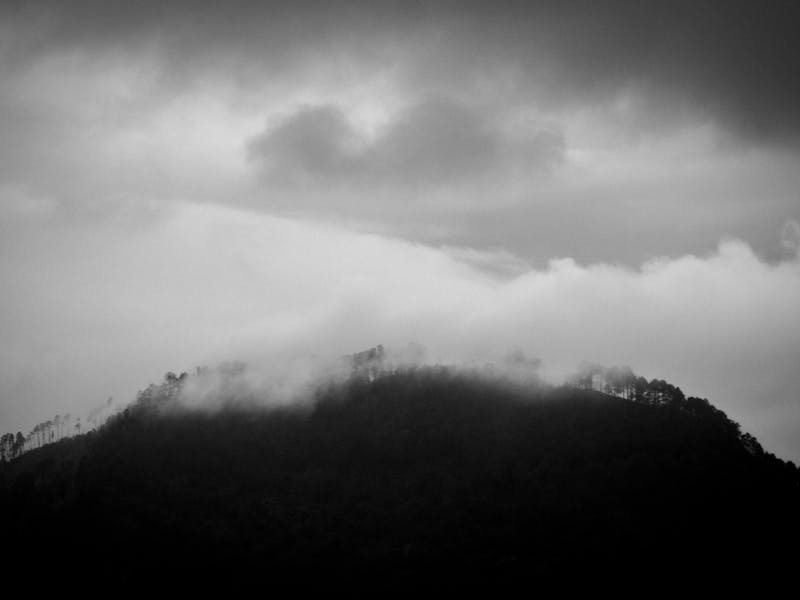 3 Empodera tu Voto: Cómo la Plataforma Juvenil Electoral Fomenta la Participación