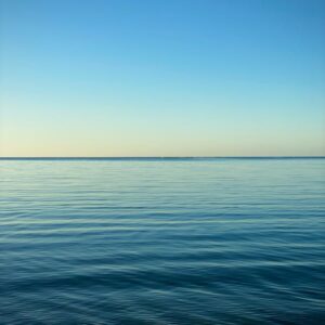 Empodera tu Voto: Cómo la Plataforma Juvenil Electoral Fomenta la Participación Activa de los Jóvenes